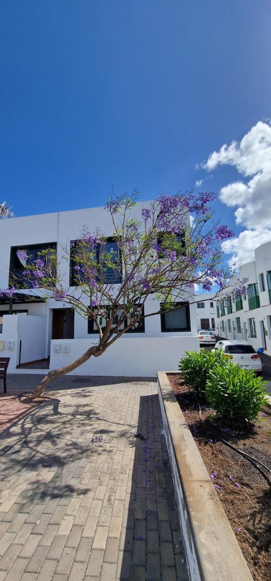 Apartamento Margarita プラヤ・ブランカ エクステリア 写真